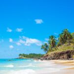 ¿Cuáles son los mejores autos producidos en México que se venden en EE.UU? »