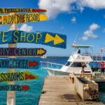 Los mejores destinos para celebrar el 15 de septiembre y gritar ¡Viva México! »