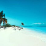 Los mejores eventos para celebrar el 4 de julio en Miami »