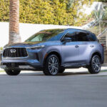 Las 5 Mejores Aventuras de Jamaica para los Amantes de la Naturaleza y la Aventura »