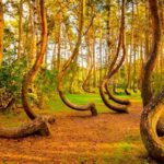 Los Mejores Lugares para Comer al Aire Libre en el Sur de Florida »