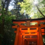 Los Cruceros Fluviales Más Escénicos del Mundo »