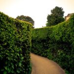 Kia registra sus mejores ventas en el mes de octubre »