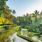 5 autos clásicos que siguen siendo un ícono hasta hoy »