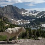 Los 5 destinos menos conocidos de Asia que van a explotar en el 2026 »