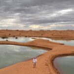 5 destinos donde nadar junto a animales marinos de forma responsable y segura »